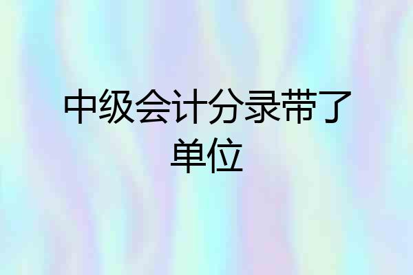 中级会计分录带了单位