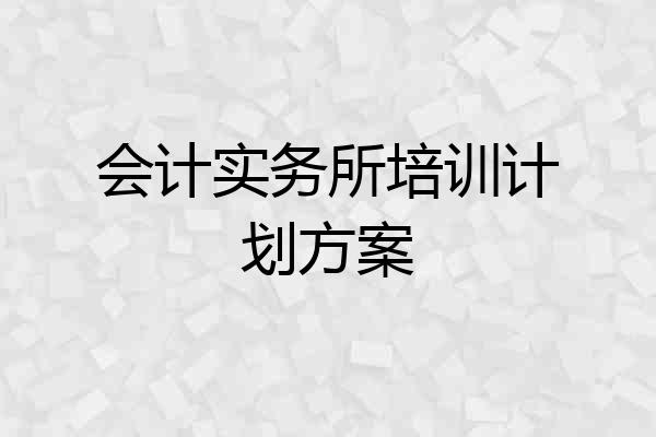 会计实务所培训计划方案