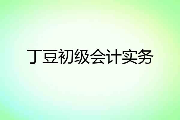 丁豆初级会计实务