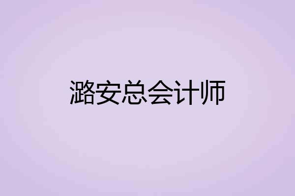 潞安总会计师