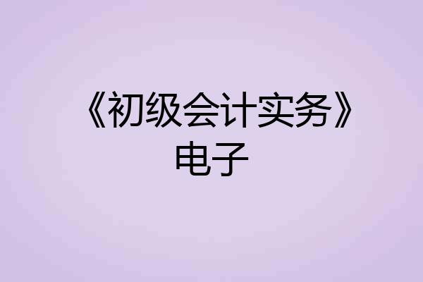 《初级会计实务》电子