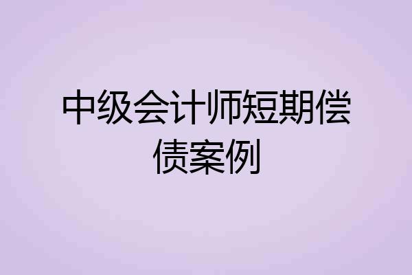 中级会计师短期偿债案例