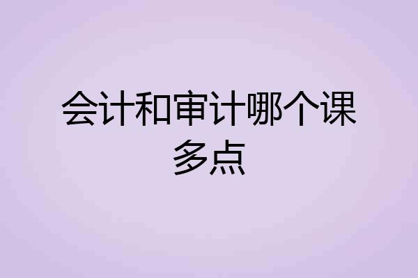 会计和审计哪个课多点
