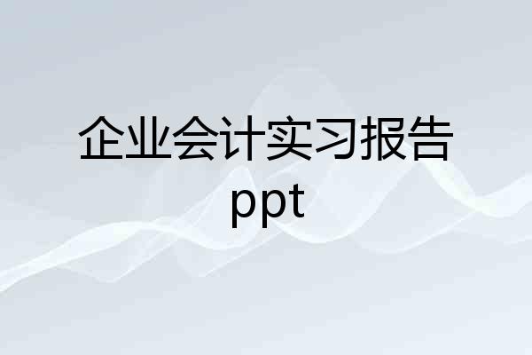 企业会计实习报告ppt