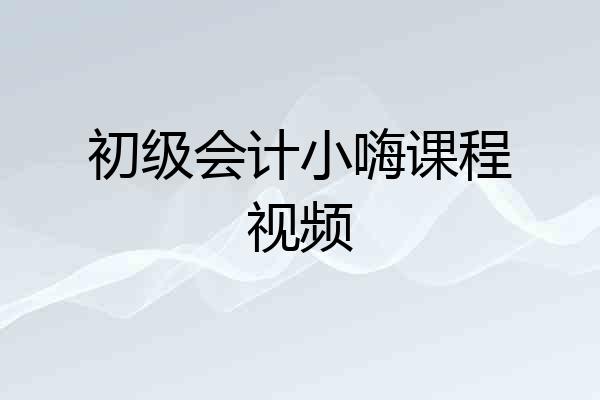 初级会计小嗨课程视频