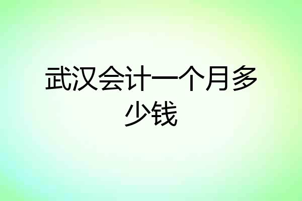 武汉会计一个月多少钱