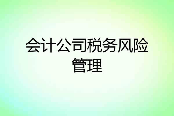 会计公司税务风险管理
