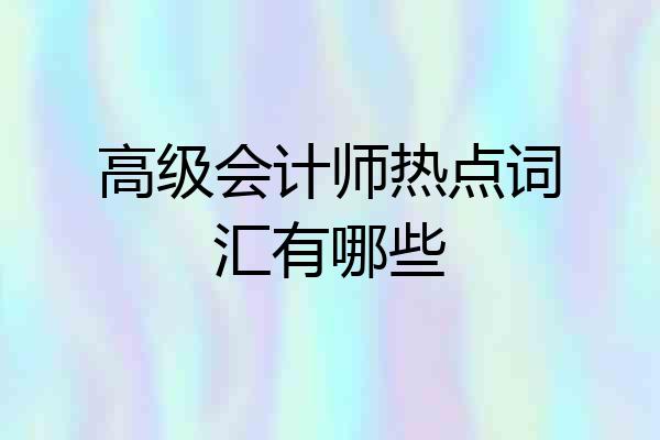 高级会计师热点词汇有哪些