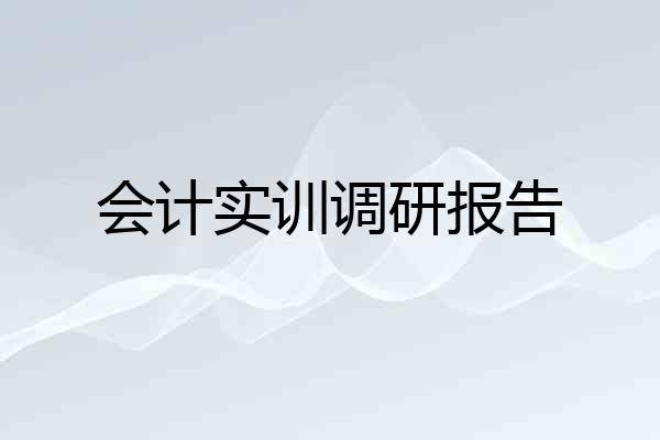 会计实训调研报告