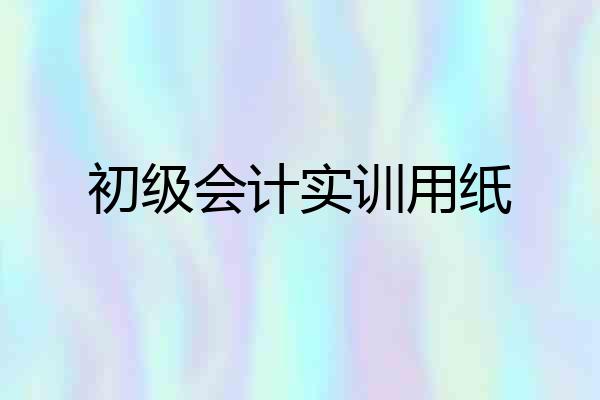 初级会计实训用纸