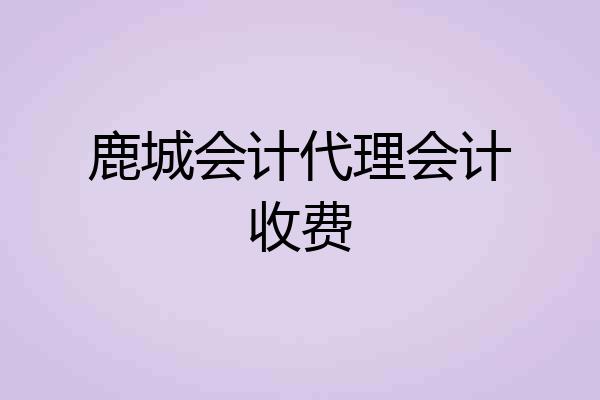 鹿城会计代理会计收费