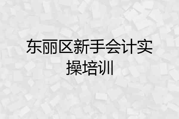 东丽区新手会计实操培训