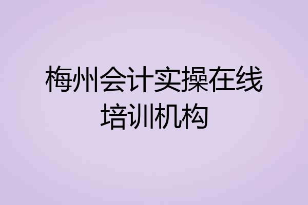梅州会计实操在线培训机构
