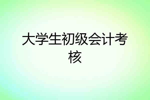 大学生初级会计考核