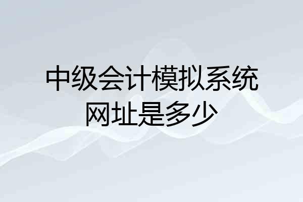 中级会计模拟系统网址是多少