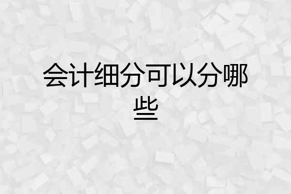 会计细分可以分哪些