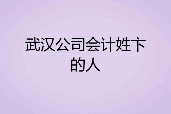 武汉公司会计姓卞的人