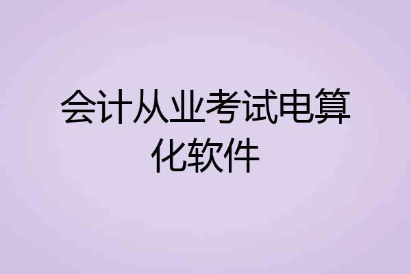 会计从业考试电算化软件