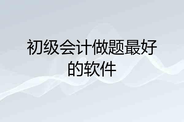 初级会计做题最好的软件
