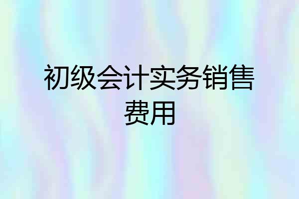 初级会计实务销售费用