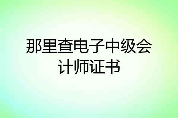 那里查电子中级会计师证书