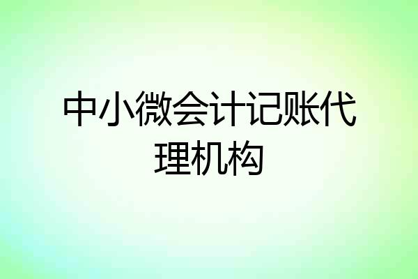 中小微会计记账代理机构