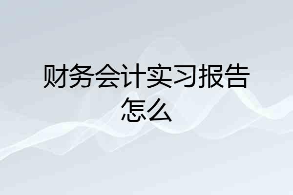财务会计实习报告怎么