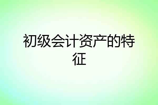 初级会计资产的特征