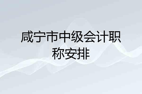咸宁市中级会计职称安排