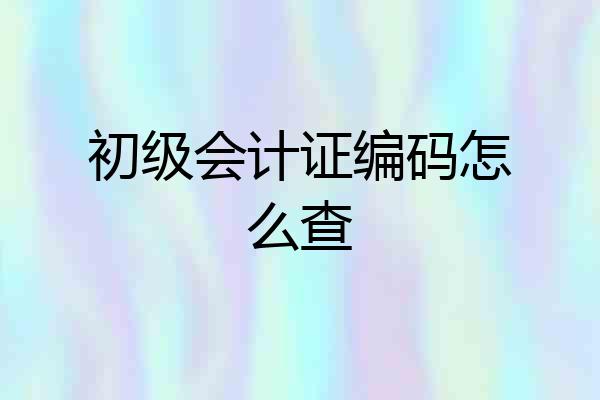 初级会计证编码怎么查