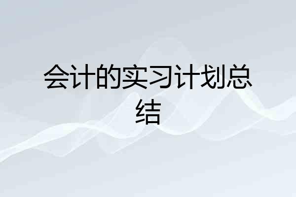 会计的实习计划总结