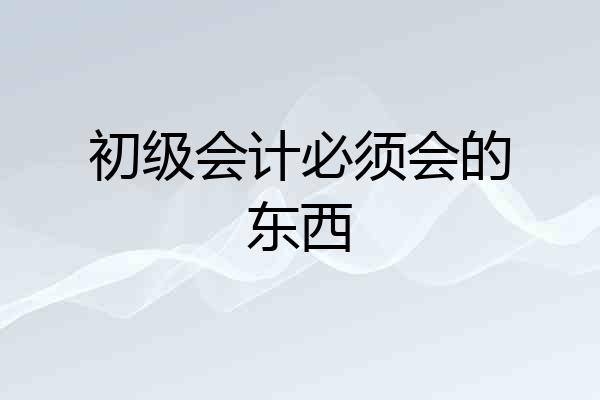 初级会计必须会的东西