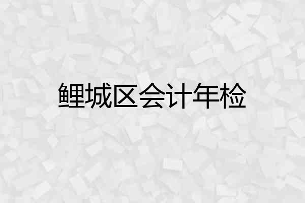 鲤城区会计年检