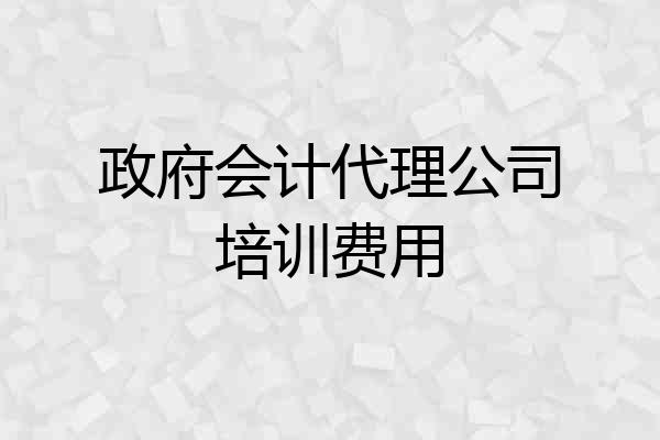 政府会计代理公司培训费用