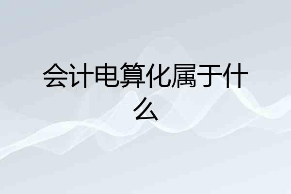 会计电算化属于什么