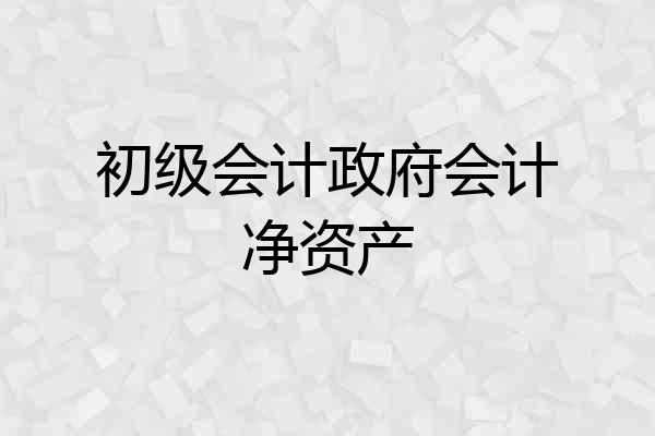 初级会计政府会计净资产
