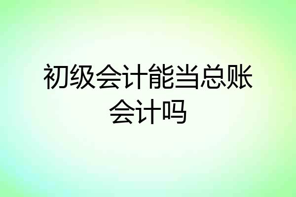 初级会计能当总账会计吗