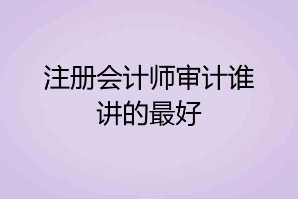 注册会计师审计谁讲的最好