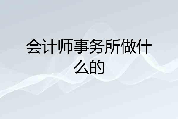 会计师事务所做什么的