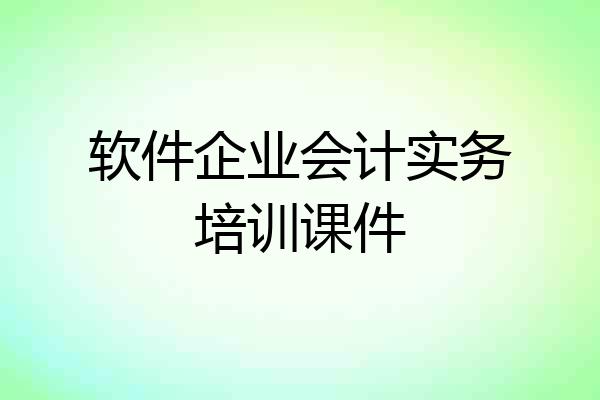 软件企业会计实务培训课件