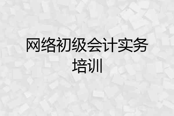 网络初级会计实务培训