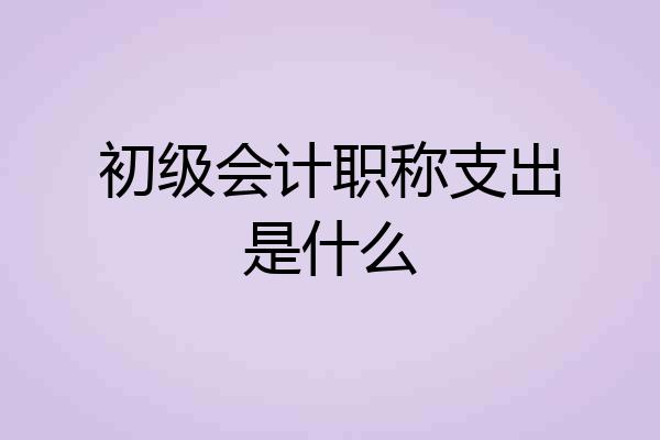 初级会计职称支出是什么