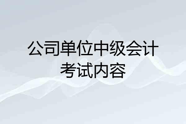 公司单位中级会计考试内容