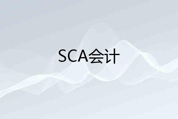 SCA会计