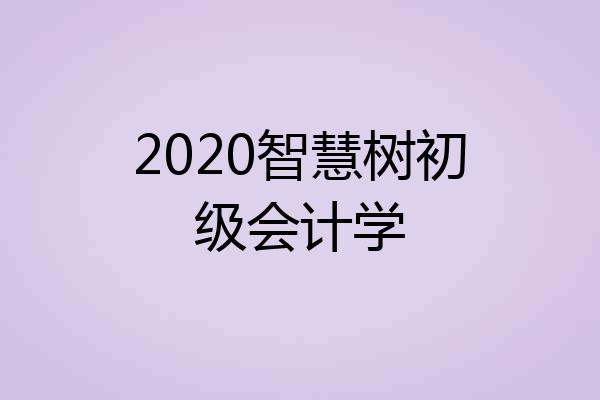2020智慧树初级会计学