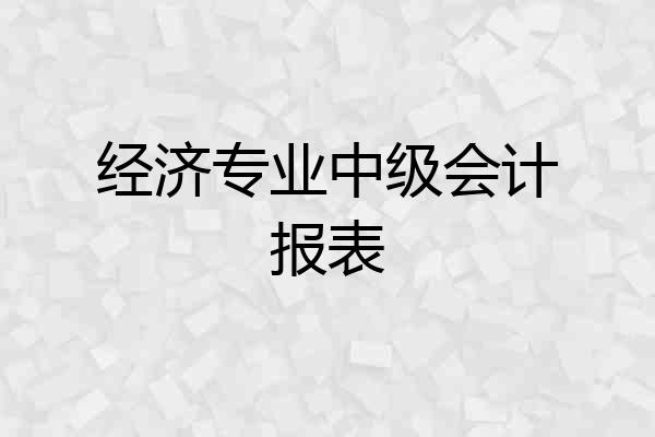 经济专业中级会计报表