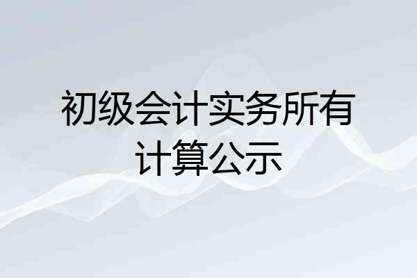 初级会计实务所有计算公示