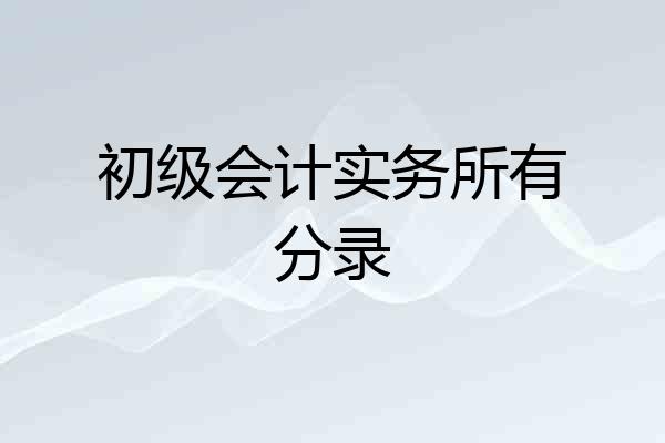 初级会计实务所有分录