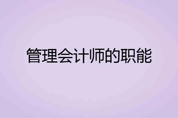 管理会计师的职能
