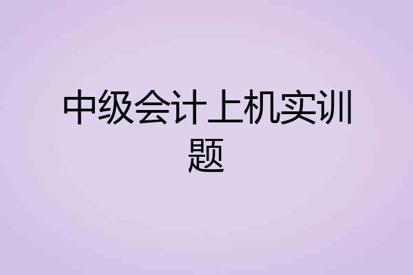 中级会计上机实训题
